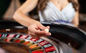 মোবাইলে bet 786 হোম অভিজ্ঞতা